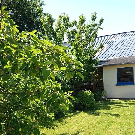Bright House With Garden Near